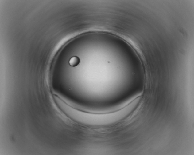 X0000114111342200910191654