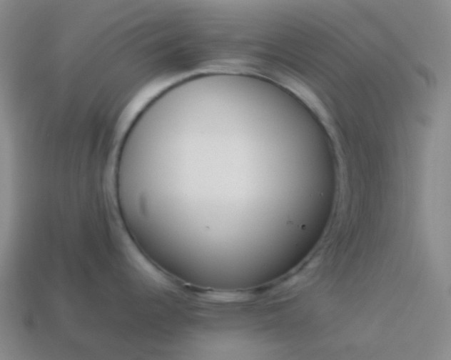 X0000114111344200910191654