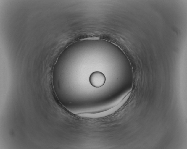 X0000114111345200910191654