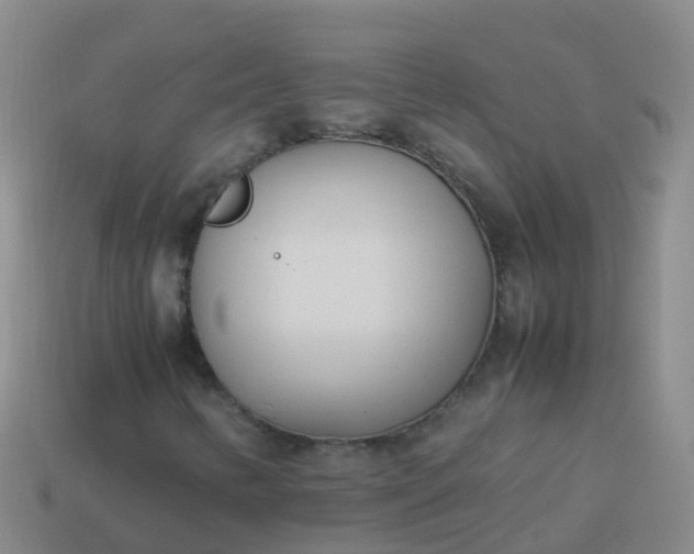 X0000114111346200910191654