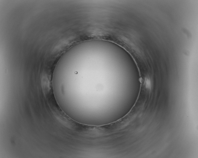 X0000114111348200910191654