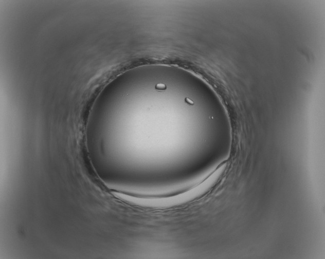 X0000114111349200910191654