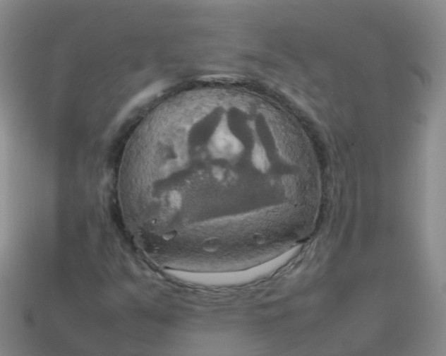 X0000114111351200910191654