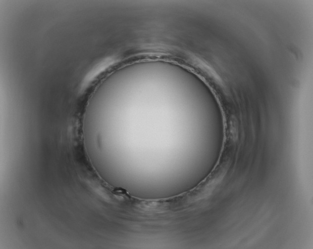 X0000114111352200910191654