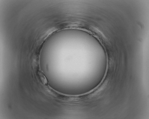 X0000114111353200910191654