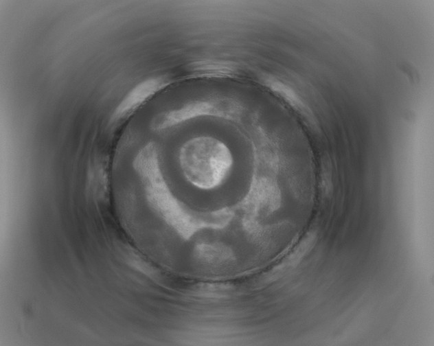 X0000114111354200910191654