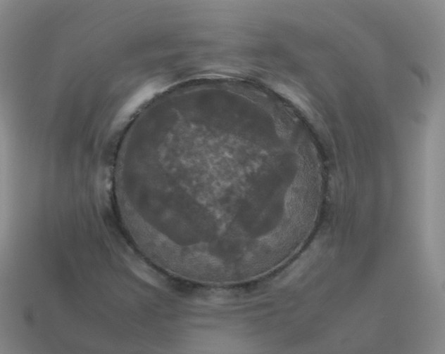 X0000114111355200910191654