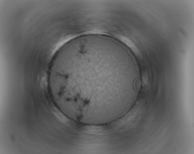 X0000114111356200910191654