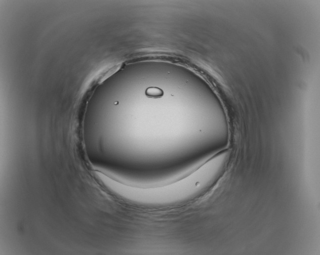 X0000114111357200910191654