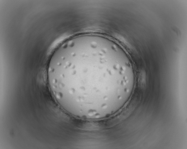 X0000114111358200910191654