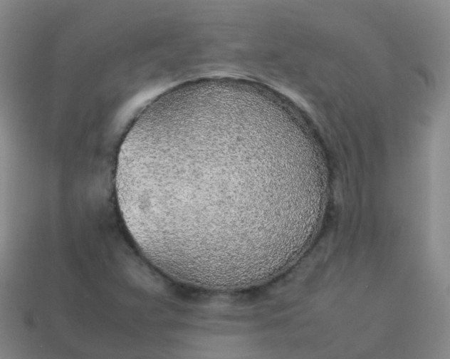 X0000114111359200910191654