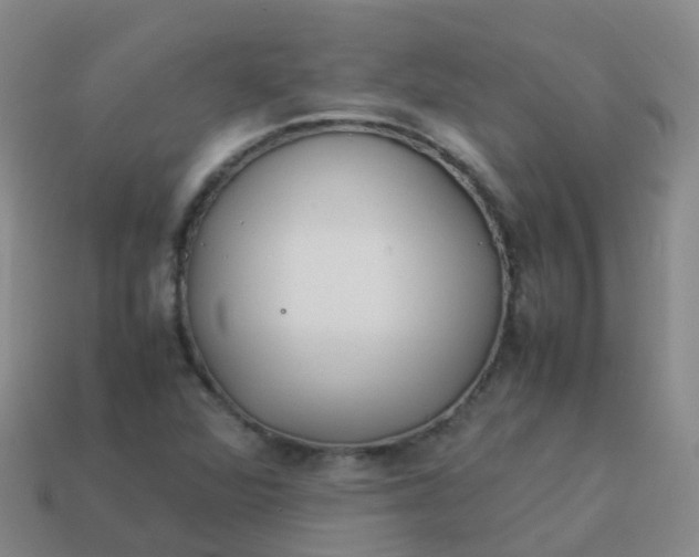 X0000114111360200910191654