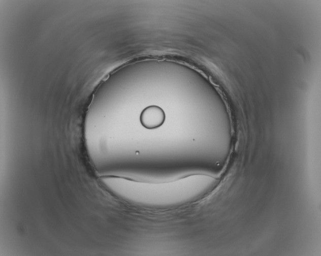 X0000114111361200910191654