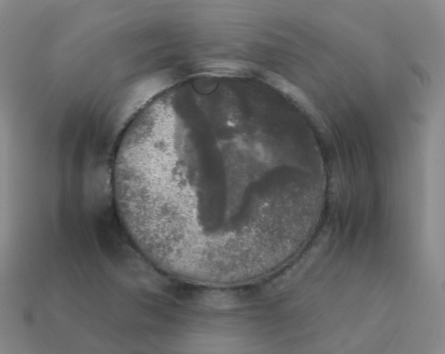 X0000114111362200910191654