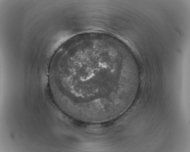 X0000114111363200910191654