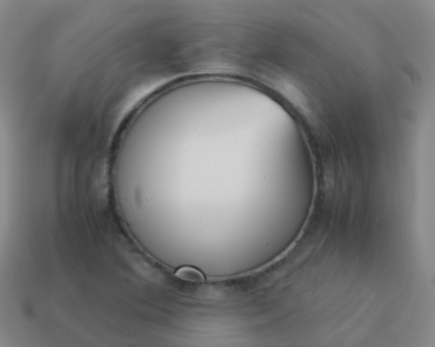 X0000114111364200910191654