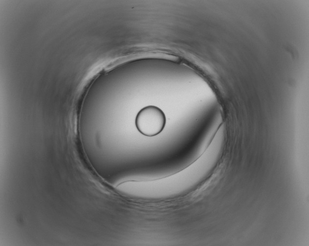 X0000114111365200910191654