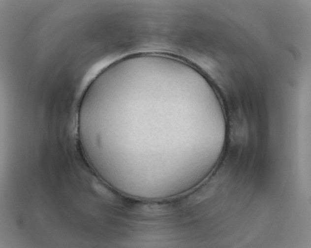 X0000114111366200910191654