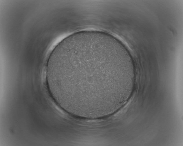 X0000114111367200910191654