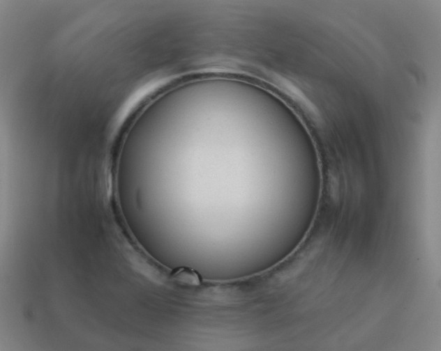 X0000114111368200910191654