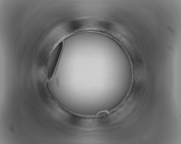 X0000114111369200910191654