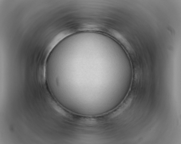 X0000114111370200910191654