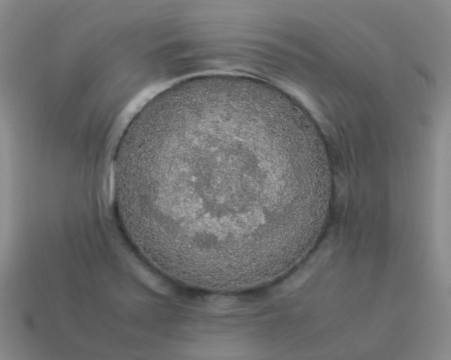 X0000114111371200910191654