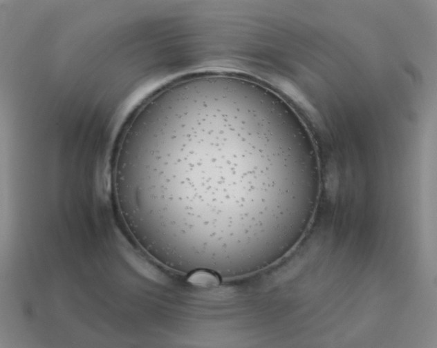 X0000114111372200910191654