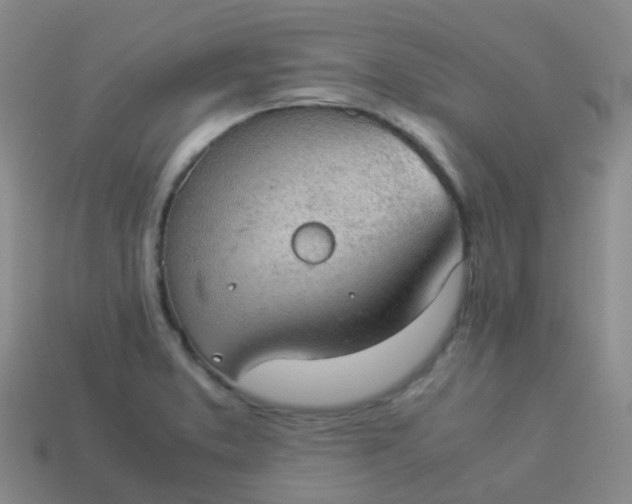 X0000114111373200910191654