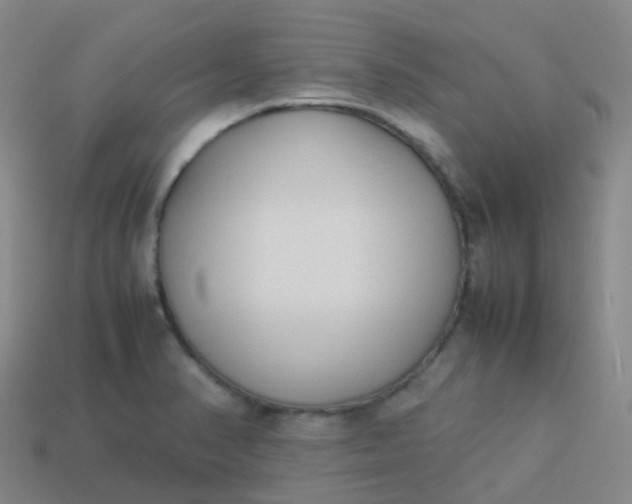 X0000114111374200910191654