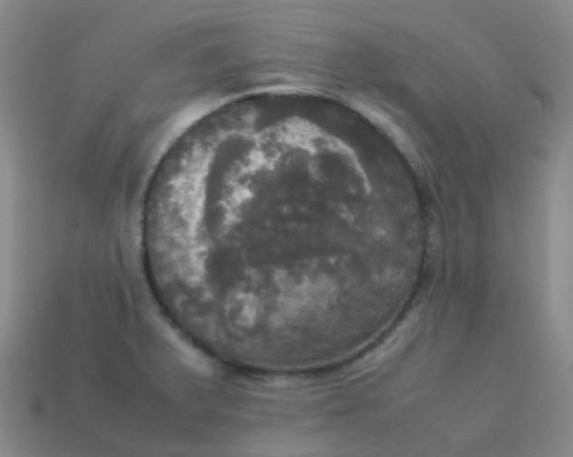 X0000114111375200910191653