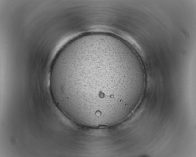 X0000114111376200910191653