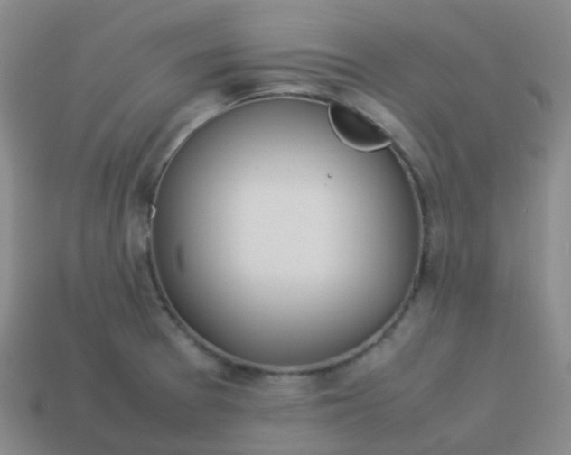 X0000114111377200910191653