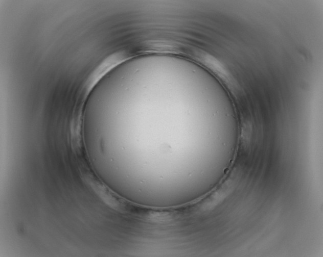 X0000114111378200910191653