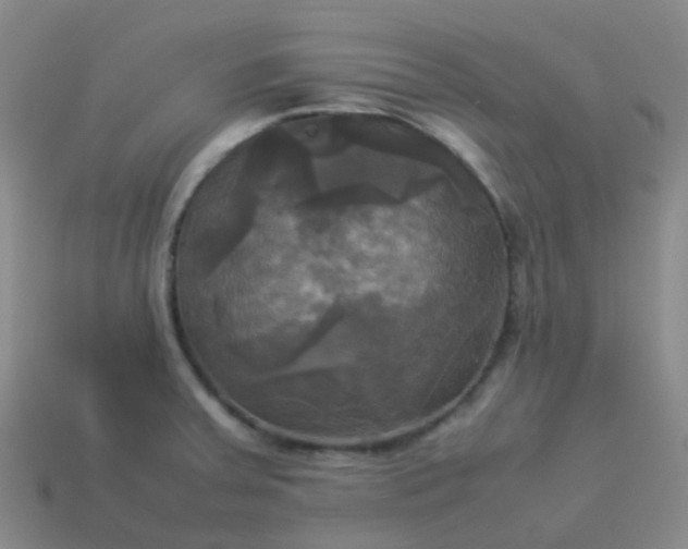 X0000114111379200910191653