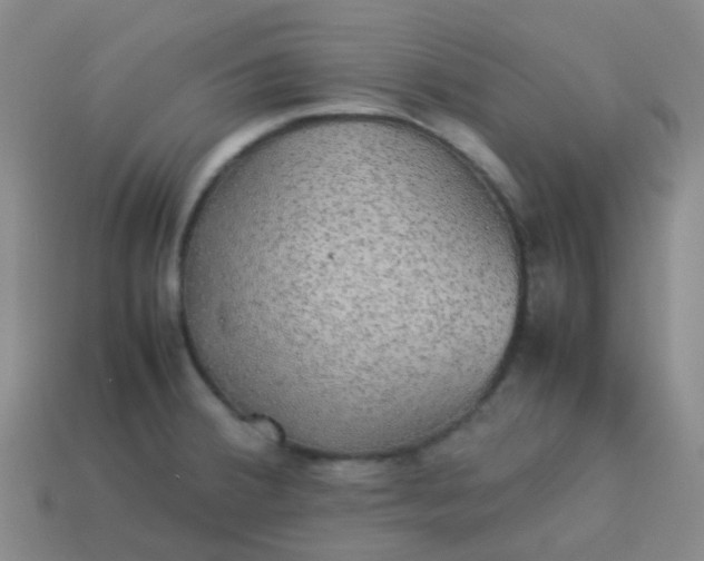 X0000114111380200910191653