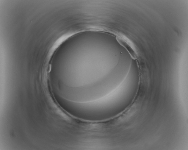 X0000114111381200910191653