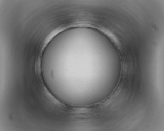 X0000114111382200910191653