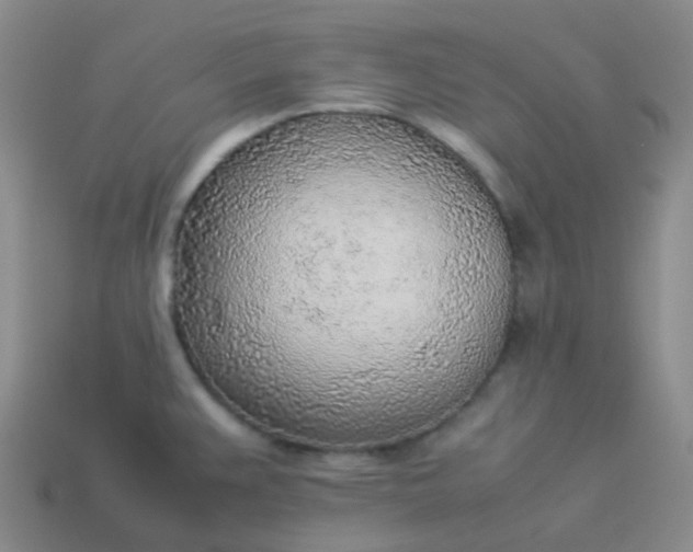 X0000114111383200910191653