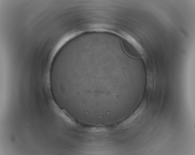 X0000114111384200910191653