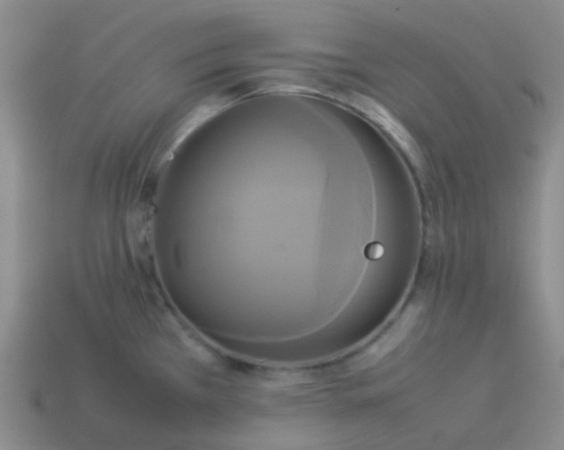 X0000114111385200910191653