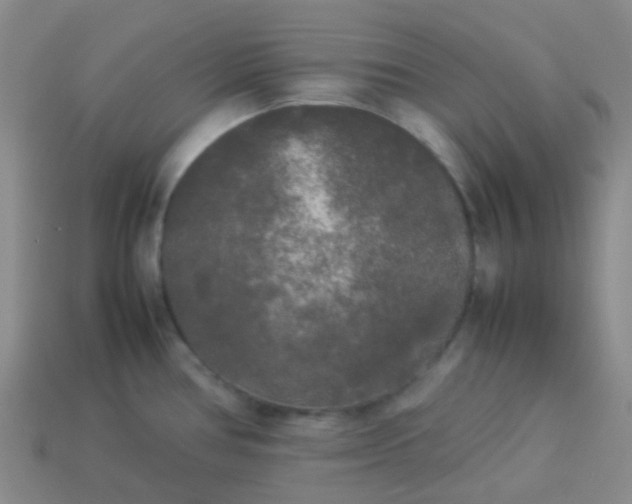 X0000114111386200910191653