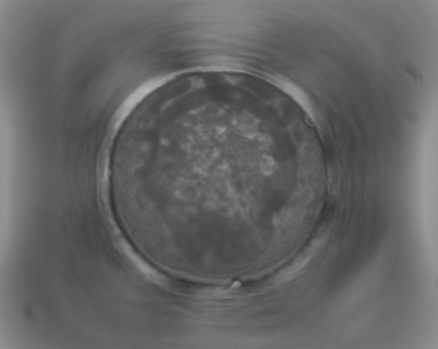 X0000114111387200910191653