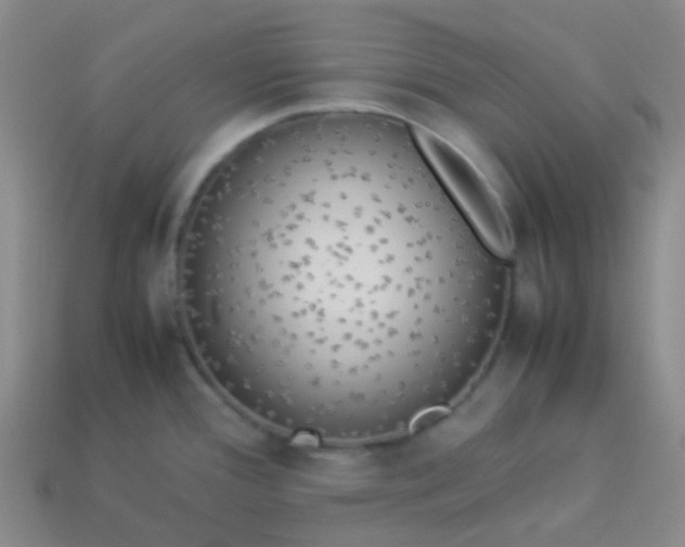 X0000114111388200910191653