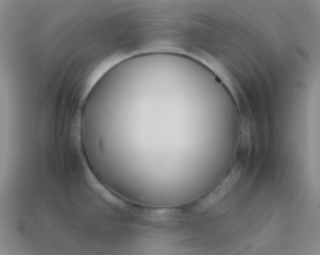 X0000114111390200910191653