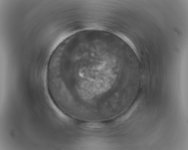 X0000114111391200910191653