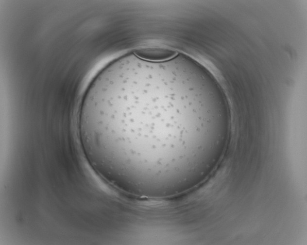 X0000114111392200910191653