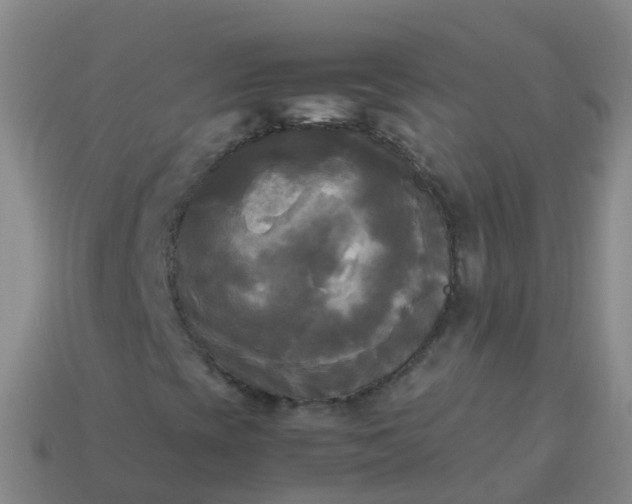 X0000114111393200910191653