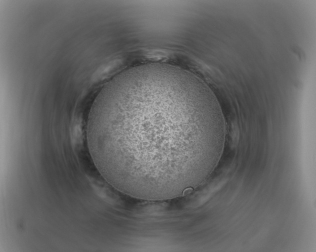 X0000114111394200910191653