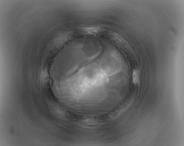 X0000114111395200910191653